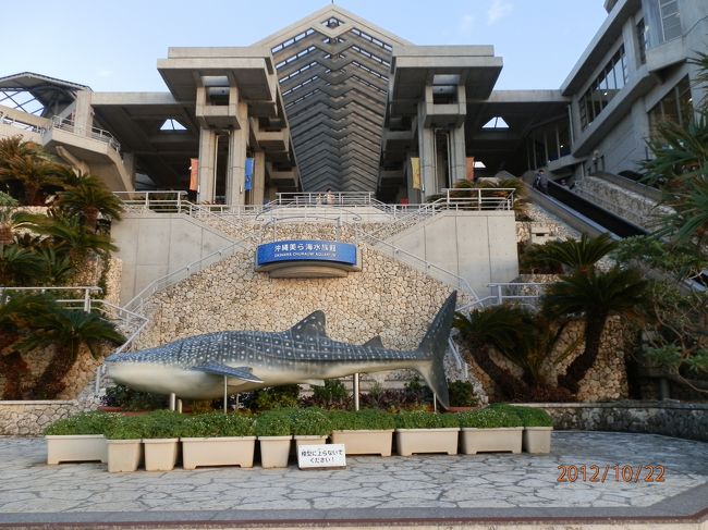 バッチリ、ジンベイザメを堪能しました。<br />癒されました。<br />