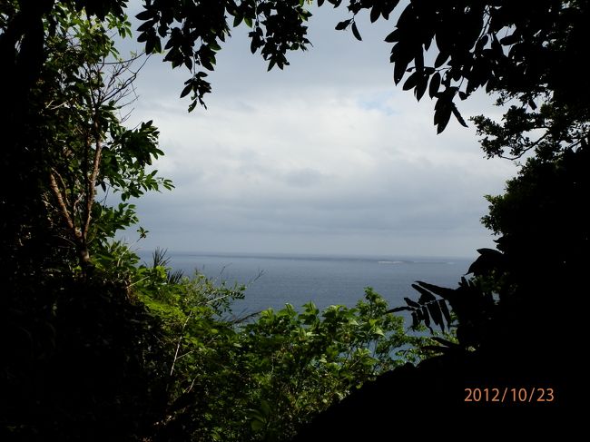 木々の間から、碧の世界。<br />思わず、合掌。