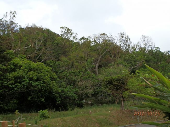 パワーをいただいて戻ってきました。<br />振り向くと、こんもり森になっていました。<br /><br />次なるパワースポットへと向かいます。