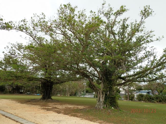 アプローチに期待が高まります。