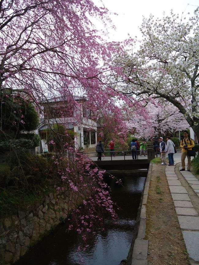 今回は銀閣寺の前まで行き<br /><br />銀閣寺には入りませんでした。<br /><br />修学旅行で1度京都来てから<br /><br />かれこれ20年Σ(|||▽||| )