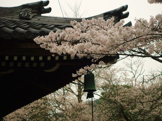 南禅寺は今回京都で<br /><br />行きたかったとこの一つです。