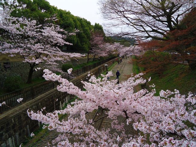 青空だったら<br /><br />もっと綺麗だろうなァ･･･<br /><br />残念。