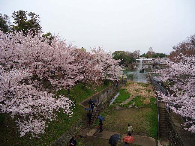 インクラインから歩いて<br /><br />平安神宮へ向かいます〜