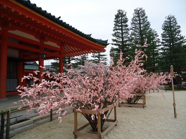 桜おみくじ<br /><br />遠くから見ると桜の木にみえるな〜