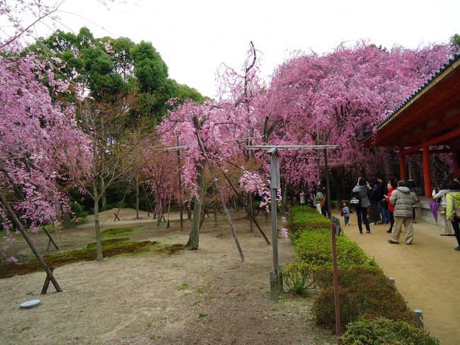 神苑へ<br /><br />拝観料\600