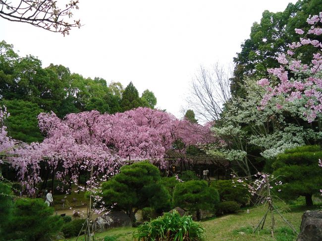 しばらくベンチでボーとしておりました。