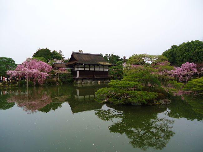 今日は初日だったので<br /><br />近場をまず攻めてみました。<br /><br />友人宅は一乗寺なので。