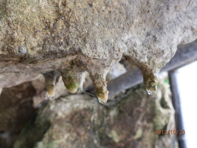 鍾乳石から滴がポタリ。