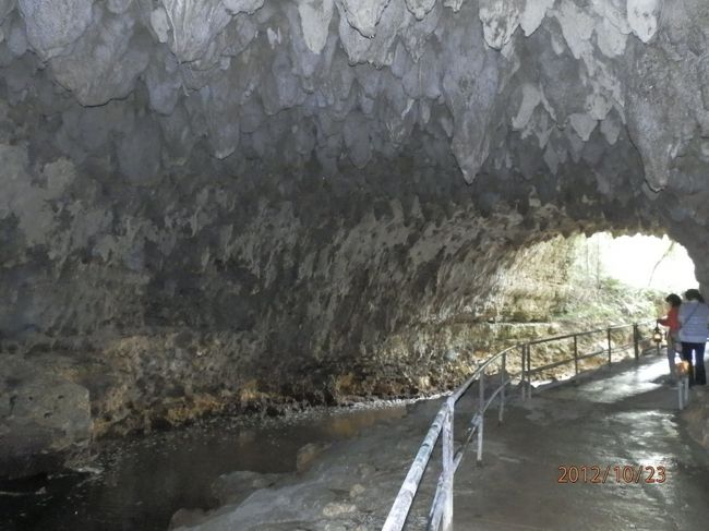 入り口付近の光景です。