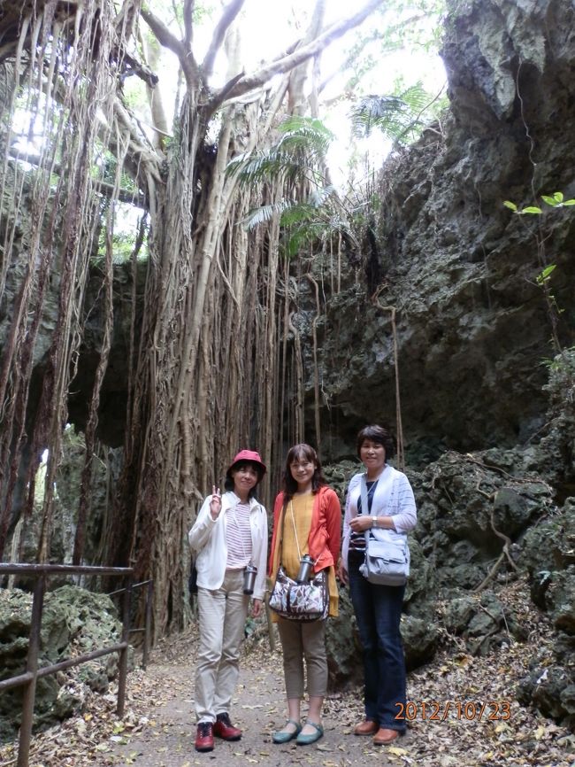 こんなに大きいです。