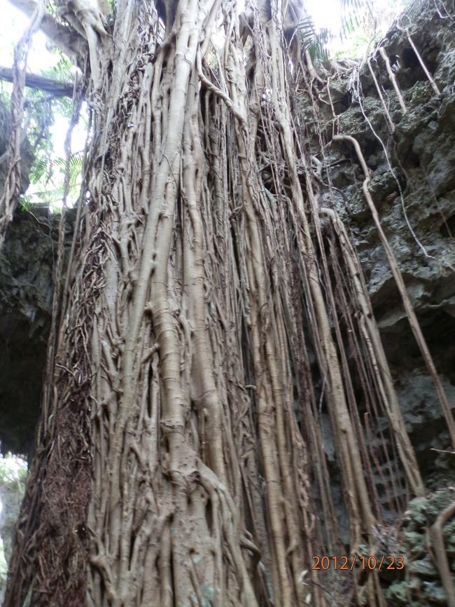 存在感ありますねえ。