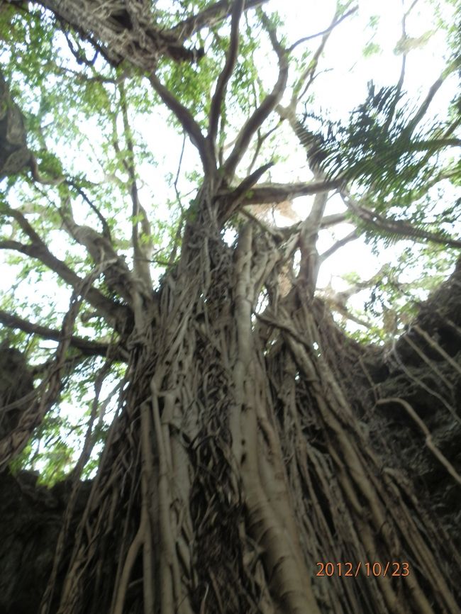 空に向かってそびえてます。