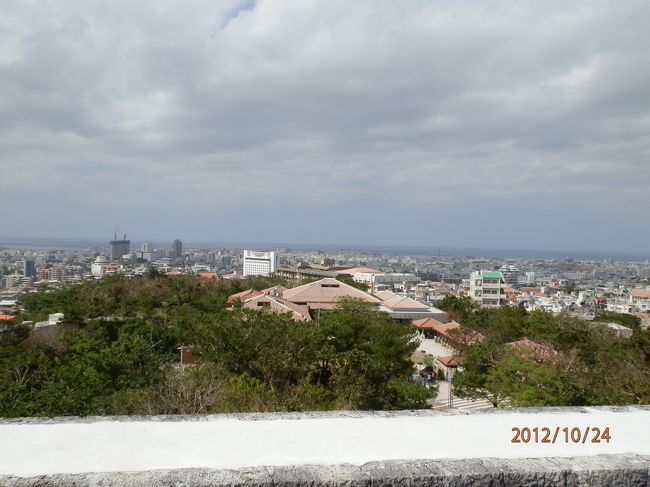 西のアザナからの眺望。