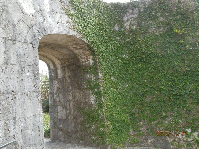 門です。<br />蔦がいい感じです。