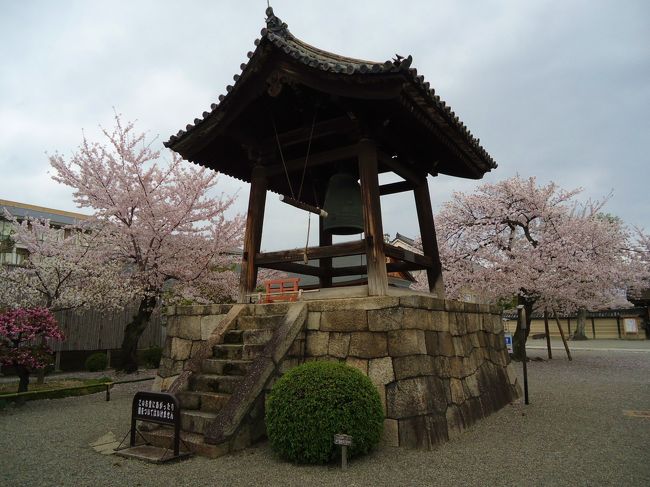 京都駅から<br /><br />東寺へ。<br /><br />歩いても行けるけど<br /><br />２日乗車券あるしね(；´∀｀)