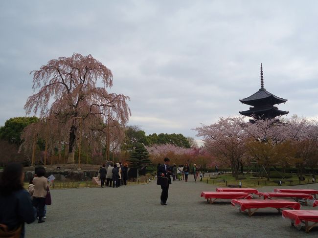 今回は時間もないので<br /><br />拝観はせずに<br /><br />外から撮影