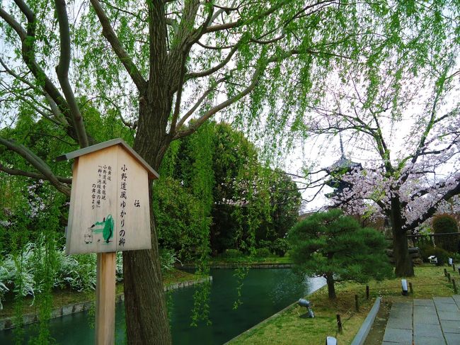 ここからバスを乗り継いで<br /><br />嵐山へ移動。