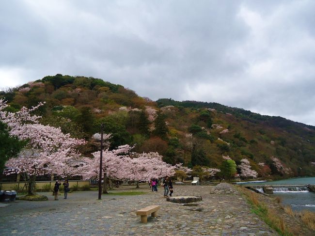 嵐山到着<br /><br />山に桜が(*ﾟ∀ﾟ*)<br /><br />素敵です。
