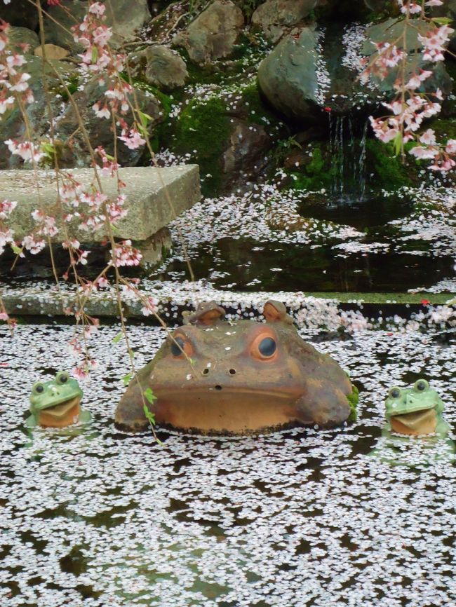 桜の風呂につかってるみたい<br /><br />(*ﾟ∀ﾟ*)