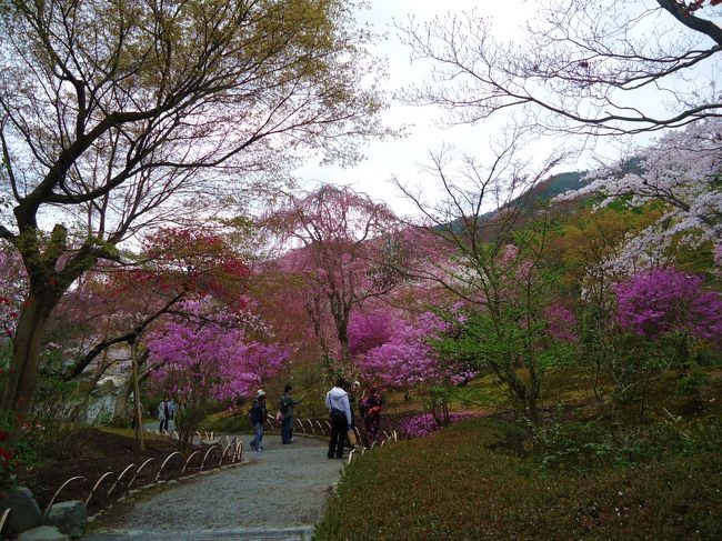 庭園を見てから<br /><br />竹林へ行こうとした時<br /><br />雲龍図とだるま図を見てないことに気が付き･･･<br /><br />また引き返しました〜(；・∀・)