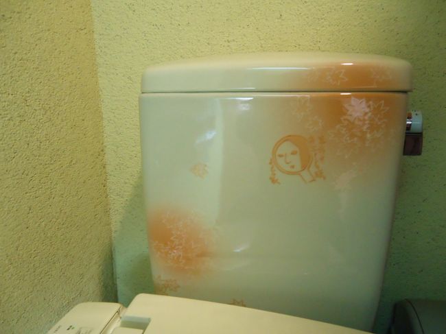 でも<br /><br />トイレだけ拝借。<br /><br />ちょっと驚いたのでパチリ。