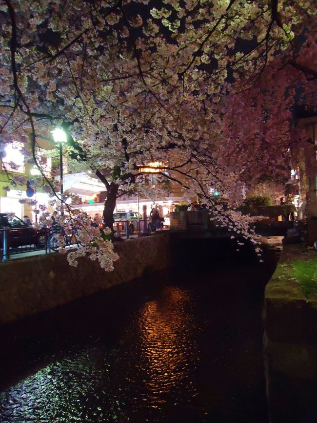 今日も沢山歩き周りました〜<br /><br />疲れた(o´Д`)=з<br /><br />明日も２日乗車券活用のため<br /><br />遠くへ行きます( ´ ▽ ` )ﾉ