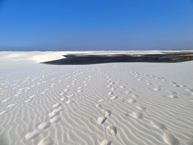 砂漠で泳ぐって どういうこと レンソイス白砂漠 ブラジル 二大絶景への旅 4 その他の観光地 ブラジル の旅行記 ブログ By コージ さん フォートラベル 砂漠で泳ぐって どういうこと レンソイス白砂漠 ブラジル 二大絶景への旅 4 その他の観光地 ブラジル の旅行記 ブログ By コージ さん フォートラベル