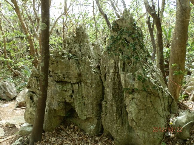 二つ並んでる姿が、寄り添ってるようでかわいいですねえ。