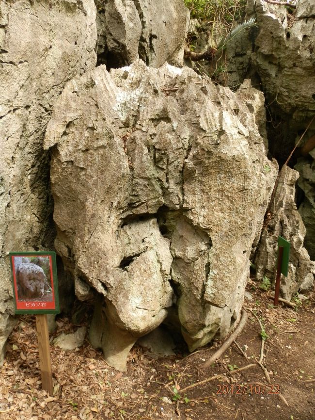 奇岩、ピカソ石です。