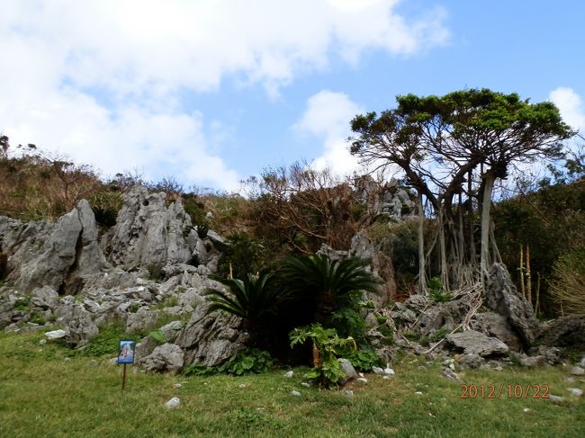 沖縄は海だとばかり思ってたので、こんなところの存在にびっくり。<br />最北端まで運転してくれた、友達に感謝です。<br /><br />次は海。<br />古宇利大橋を目指します。<br />