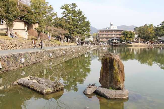 猿沢池があります。<br /><br />興福寺の五重塔が水面に姿を写す素晴らしい景観から、奈良八景のひとつに選ばれています。