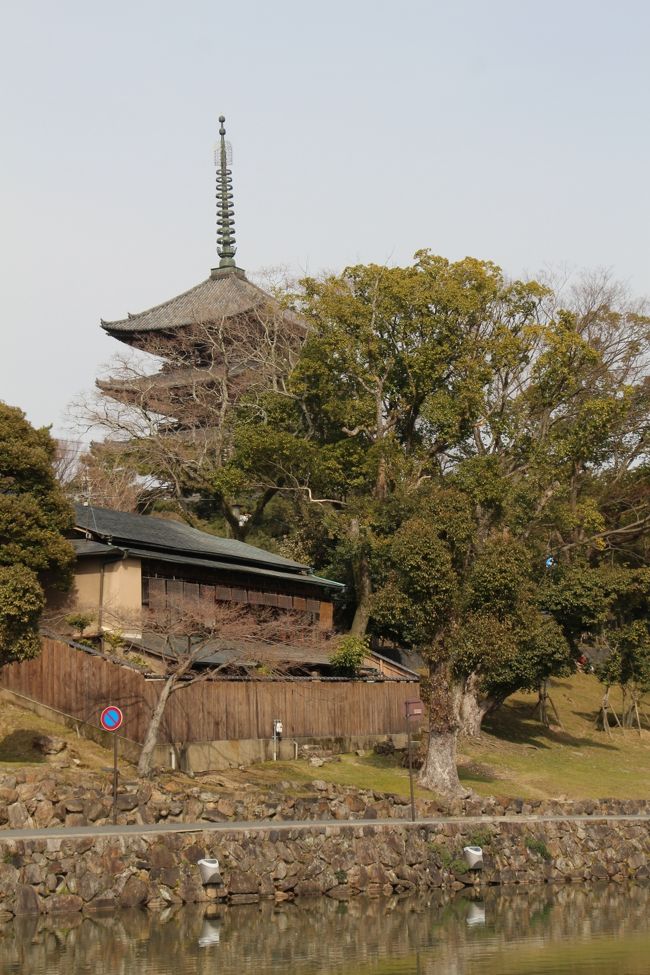 興福寺の五重塔です。