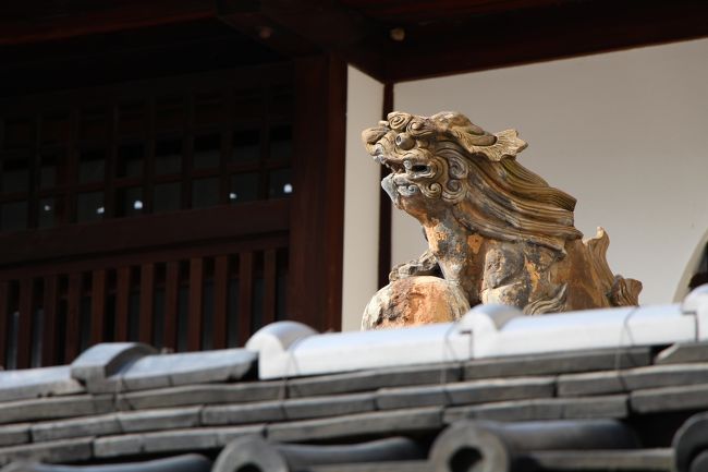 これは魔除けなんでしょうか、町屋の塀の上から獅子が睨みつけています。