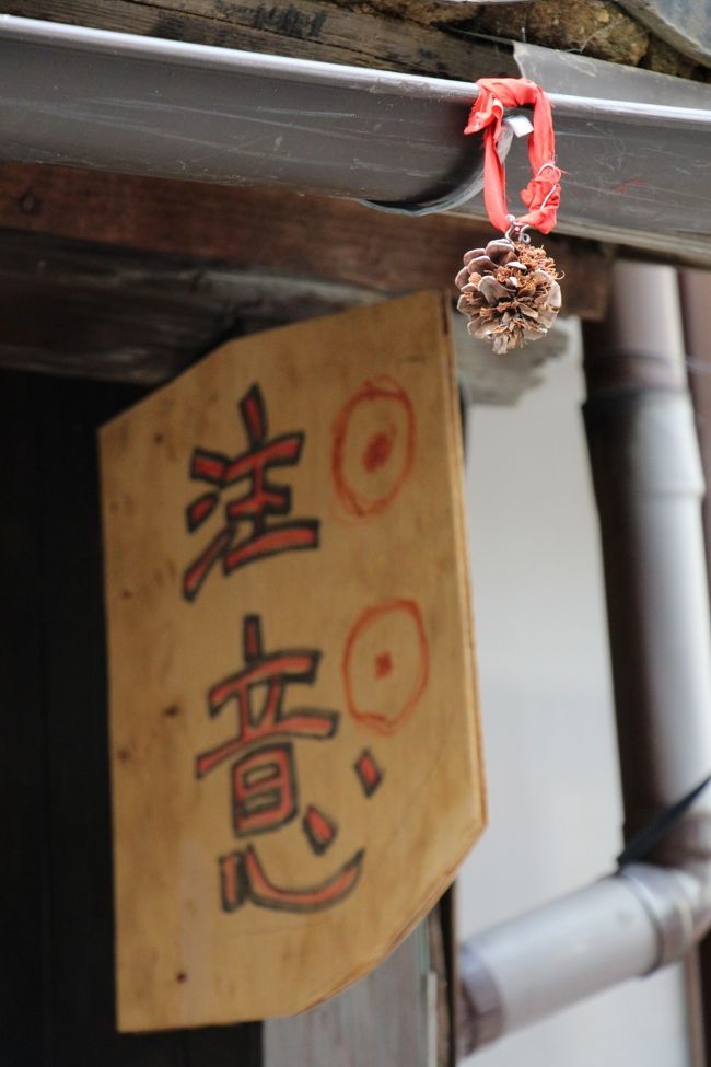 よく見ると、注意と書かれた板切れと一緒に吊るされているので、トラックドライバーへの注意喚起のようです。<br /><br />時々交通事故が起こるんでしょうね。