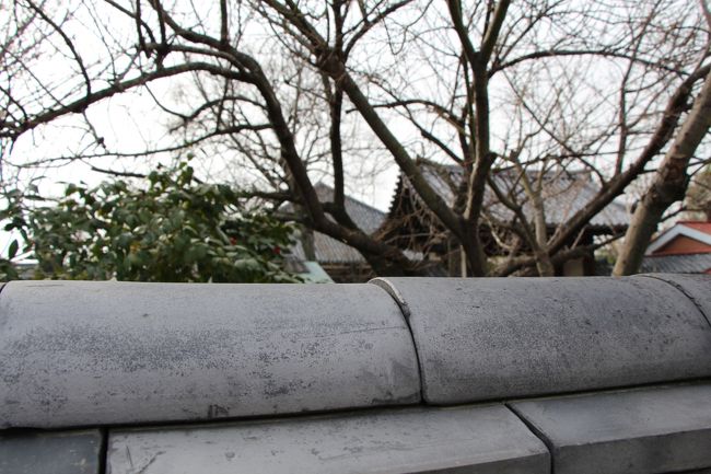 元興寺の塀はそんなに高くないので、ちょっと覗くと東門と極楽坊本堂が見えます。