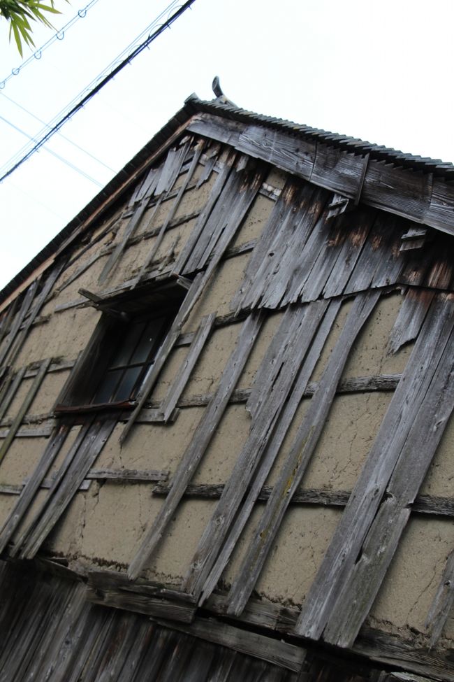 ちょっと荒れた町屋にも春が訪れているようで・・・