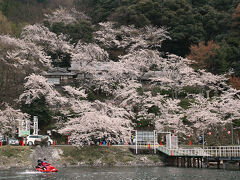 満開の桜に囲まれる大崎観音。