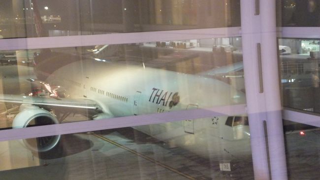 深夜便の為労務上の問題かビジネス客が少ないような気が。<br />観光客が大多数。