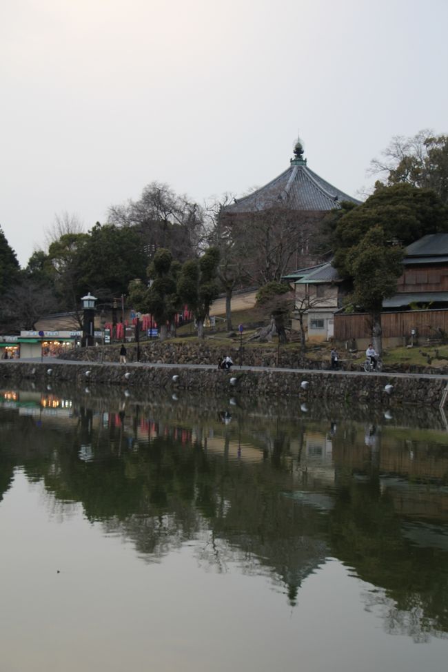 猿沢池に姿を映す興福寺南円堂。