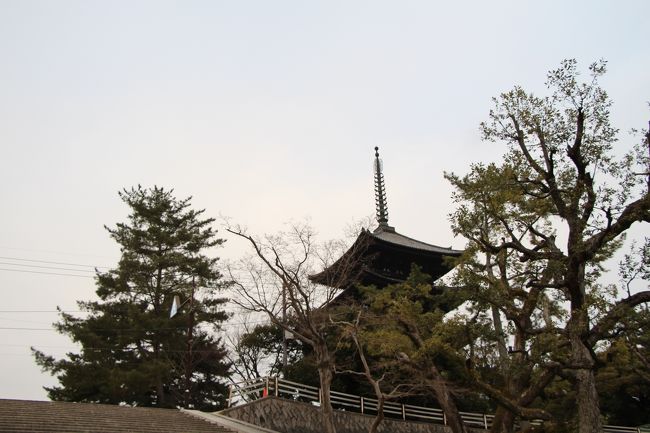 では、「五十二段」と名付けられた石段を上って興福寺へ向かいます。