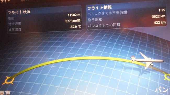 寝たような寝てないような。