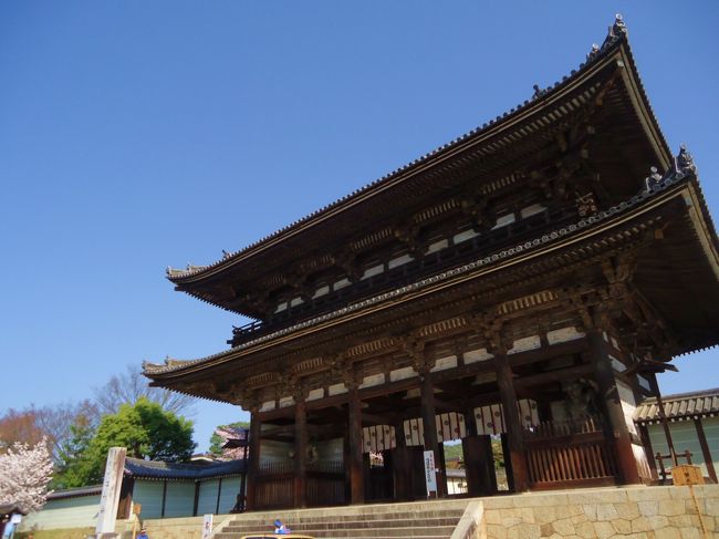 今日は最初に<br /><br />仁和寺へ。