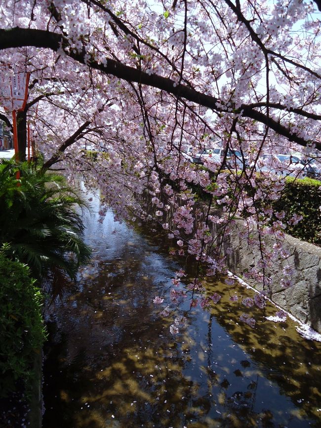 プラプラと歩いてます〜