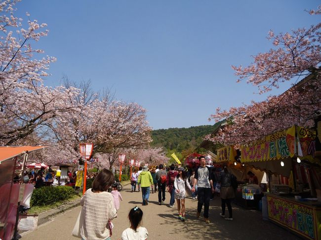 そのまま歩いて行ったら<br /><br />丸山公園到着！