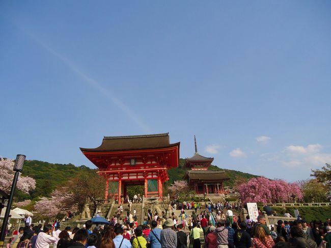 やっと清水寺に到着<br /><br />(*´∀｀*)