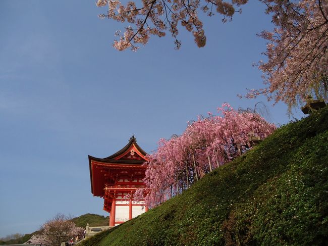 しばらく中には入らずに<br /><br />周りをウロウロ･･･