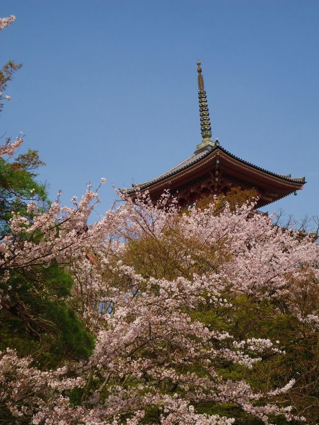 ちょっと(-。-)y-゜゜゜<br /><br />したいが喫煙所がなく･･･