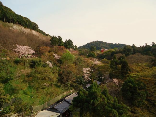 清水の舞台ですね。<br /><br />