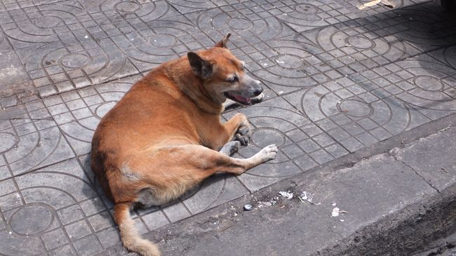大都会の安らぎ。